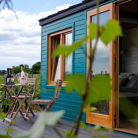 Hotel Tiny House In The Vineyard By Gramofon Wine à Iordachianu Extérieur photo