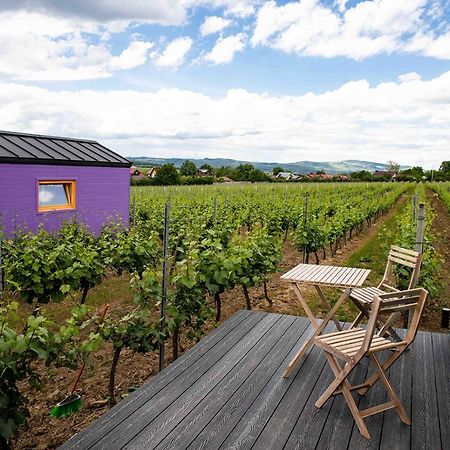 Hotel Tiny House In The Vineyard By Gramofon Wine à Iordachianu Extérieur photo