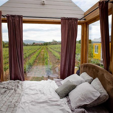 Hotel Tiny House In The Vineyard By Gramofon Wine à Iordachianu Extérieur photo