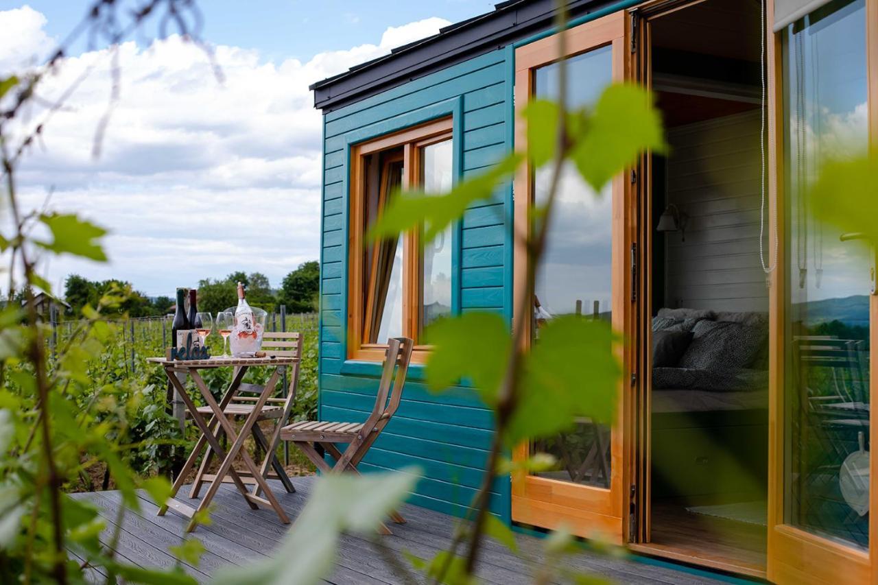 Hotel Tiny House In The Vineyard By Gramofon Wine à Iordachianu Extérieur photo