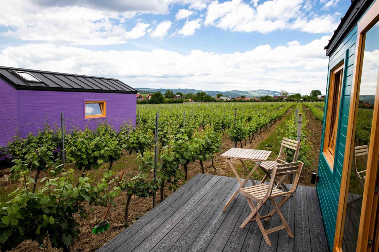 Hotel Tiny House In The Vineyard By Gramofon Wine à Iordachianu Extérieur photo