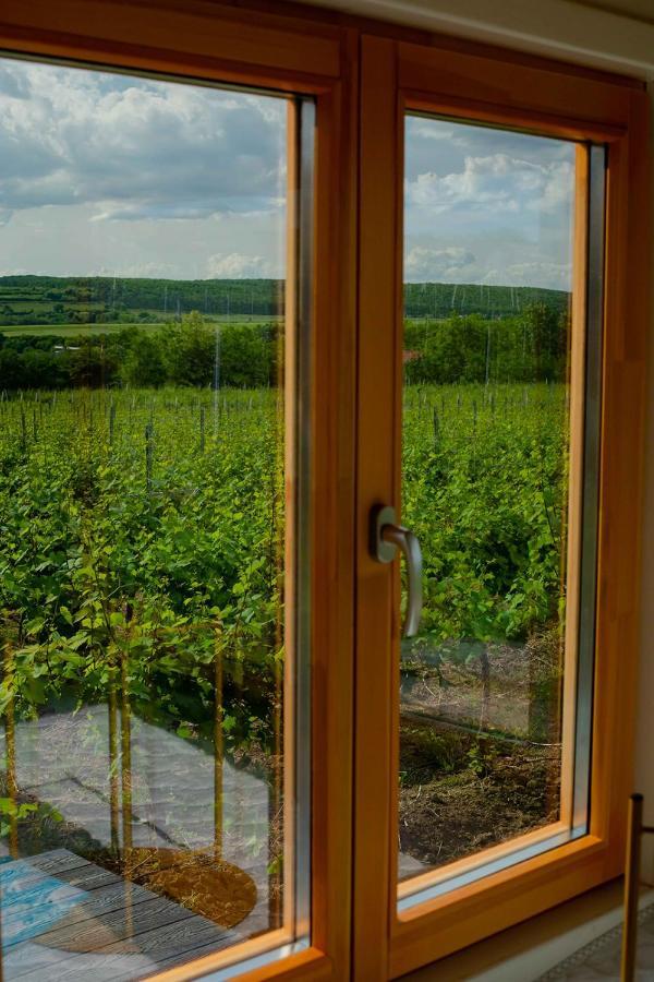 Hotel Tiny House In The Vineyard By Gramofon Wine à Iordachianu Extérieur photo