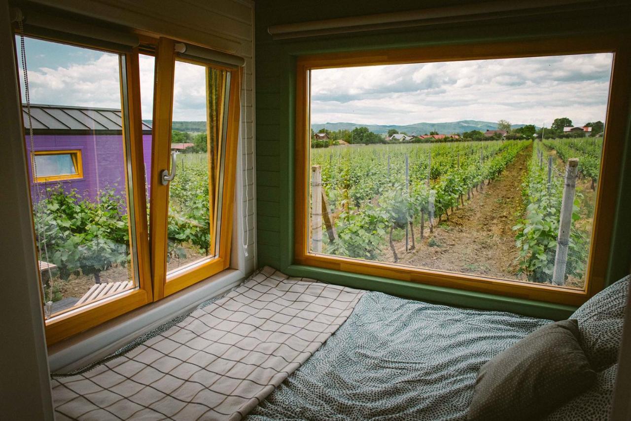 Hotel Tiny House In The Vineyard By Gramofon Wine à Iordachianu Extérieur photo