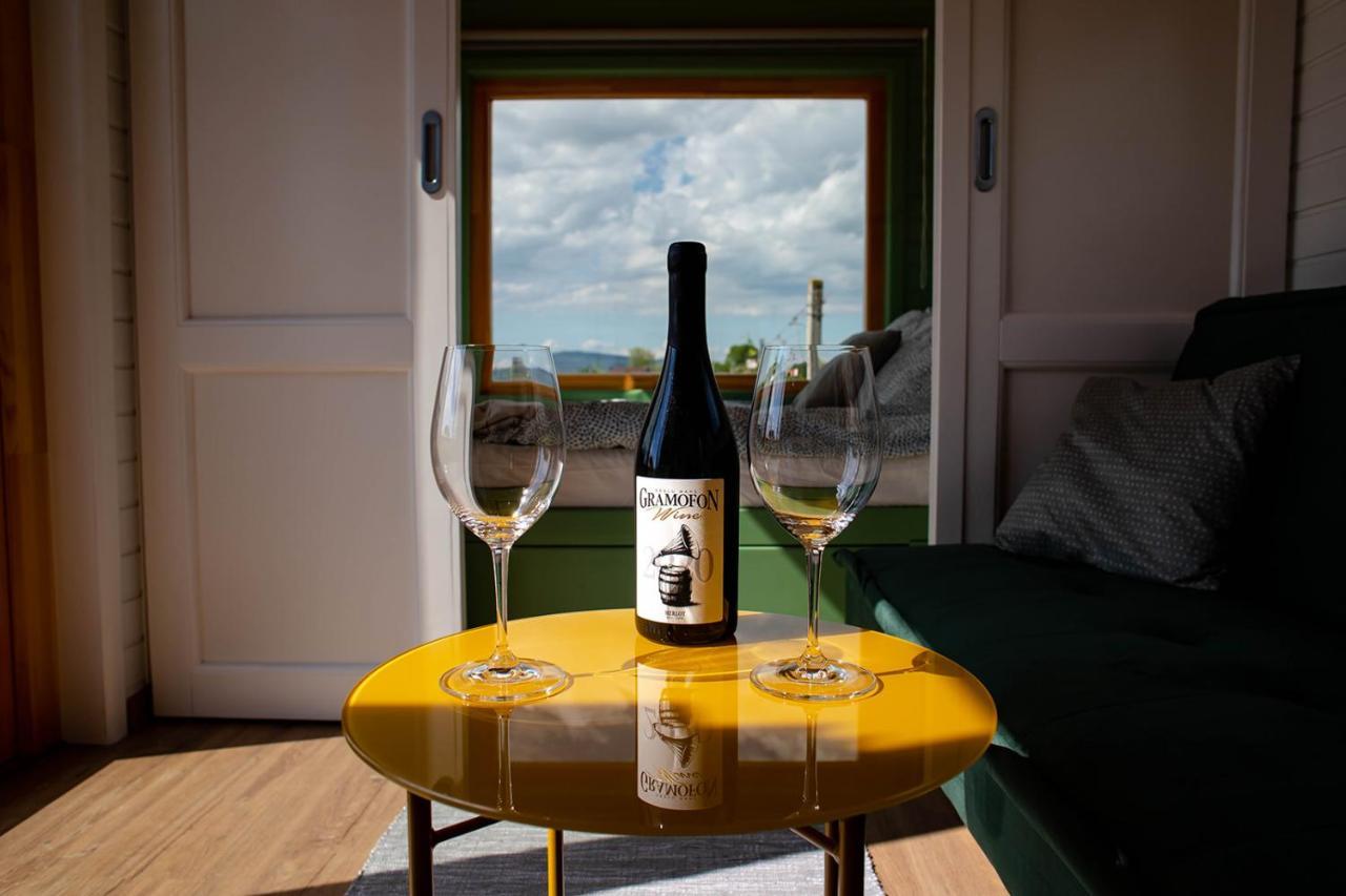 Hotel Tiny House In The Vineyard By Gramofon Wine à Iordachianu Extérieur photo