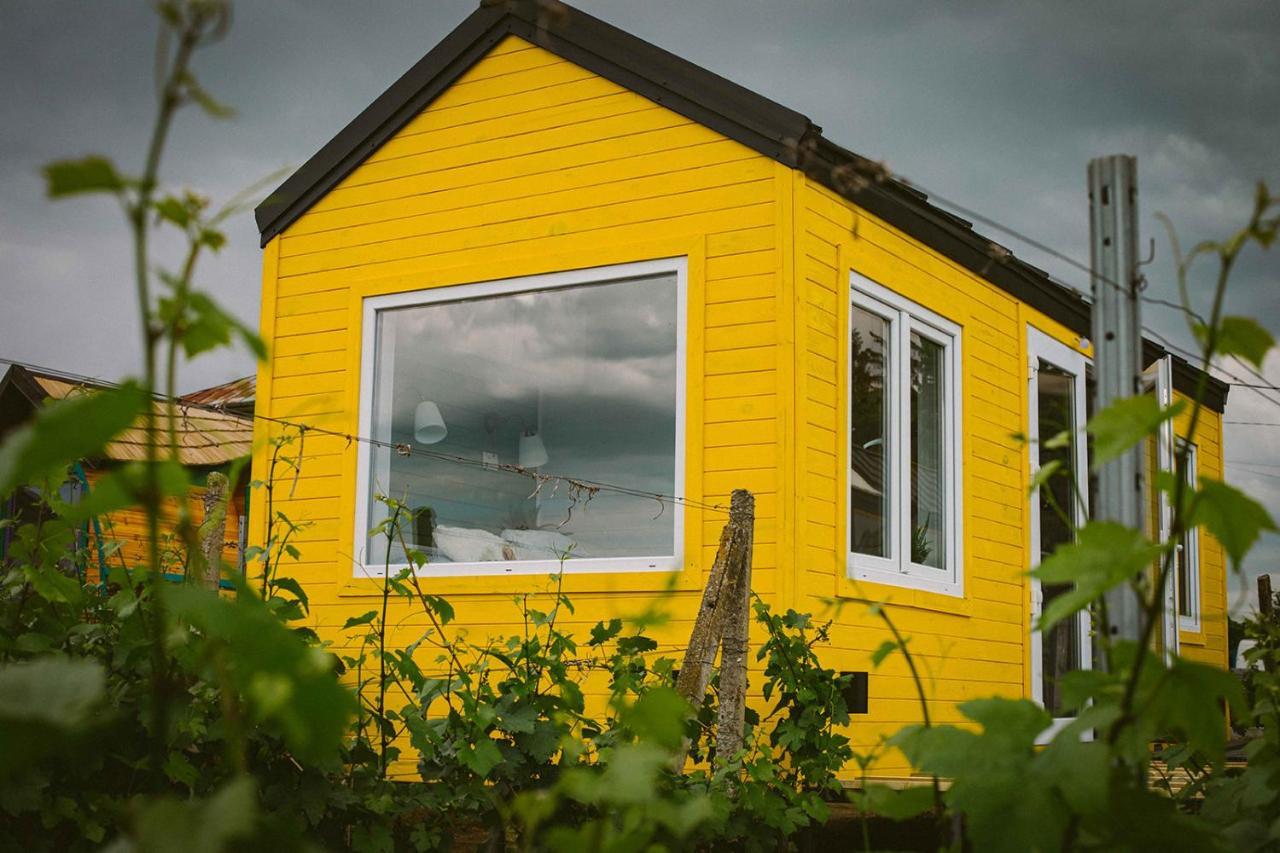 Hotel Tiny House In The Vineyard By Gramofon Wine à Iordachianu Extérieur photo