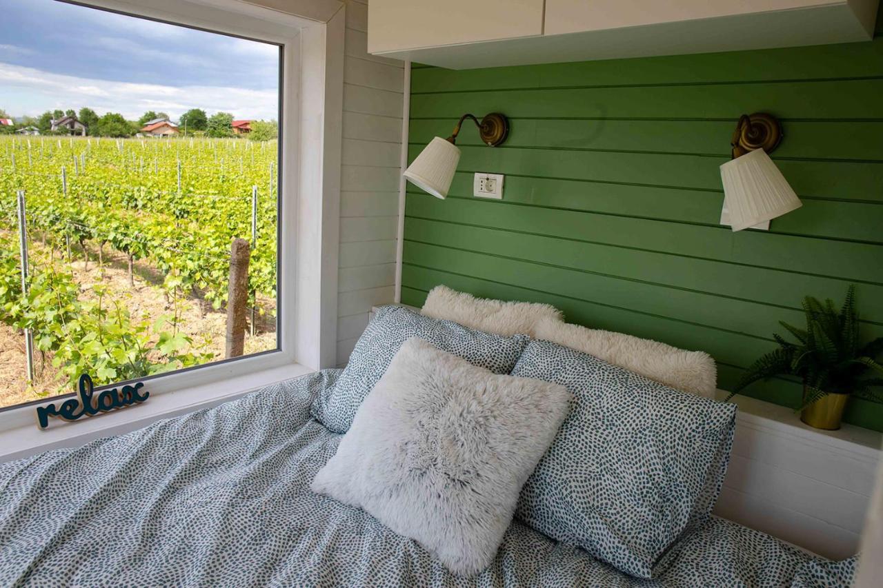 Hotel Tiny House In The Vineyard By Gramofon Wine à Iordachianu Extérieur photo