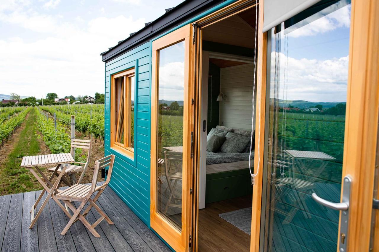 Hotel Tiny House In The Vineyard By Gramofon Wine à Iordachianu Extérieur photo