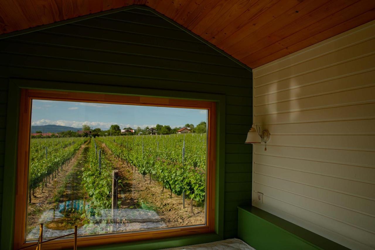 Hotel Tiny House In The Vineyard By Gramofon Wine à Iordachianu Extérieur photo