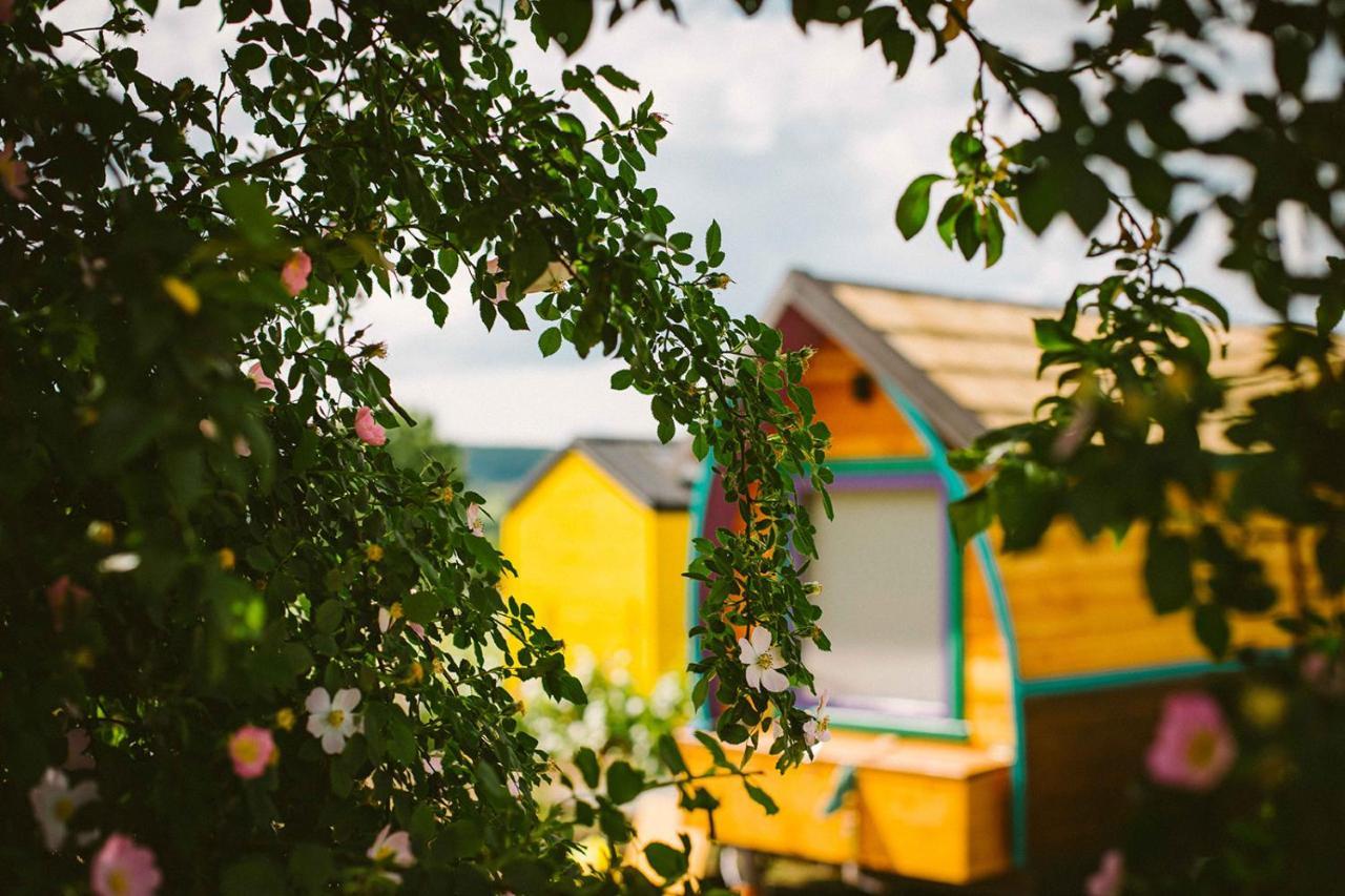 Hotel Tiny House In The Vineyard By Gramofon Wine à Iordachianu Extérieur photo