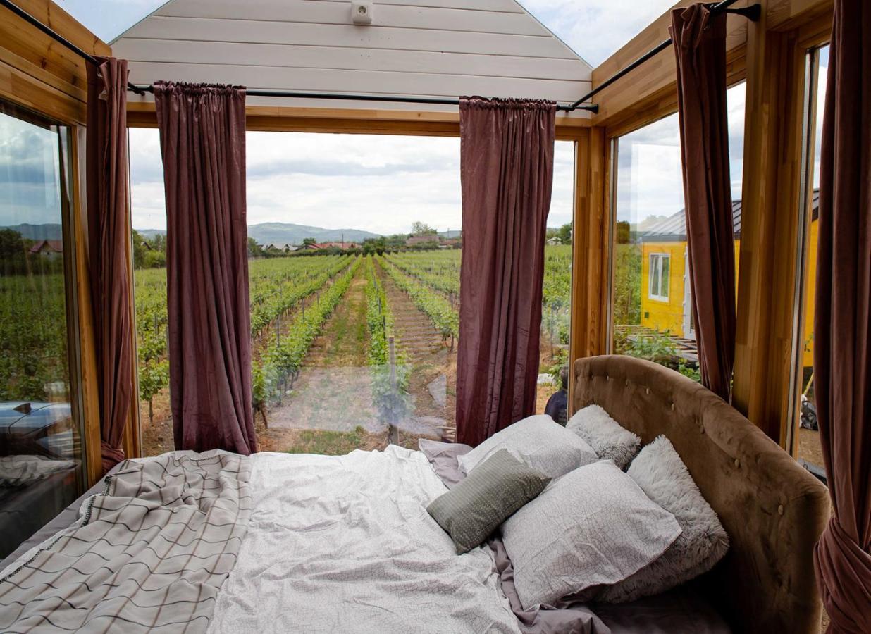 Hotel Tiny House In The Vineyard By Gramofon Wine à Iordachianu Extérieur photo