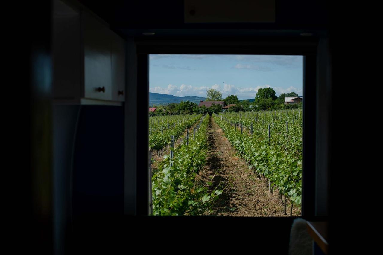 Hotel Tiny House In The Vineyard By Gramofon Wine à Iordachianu Extérieur photo