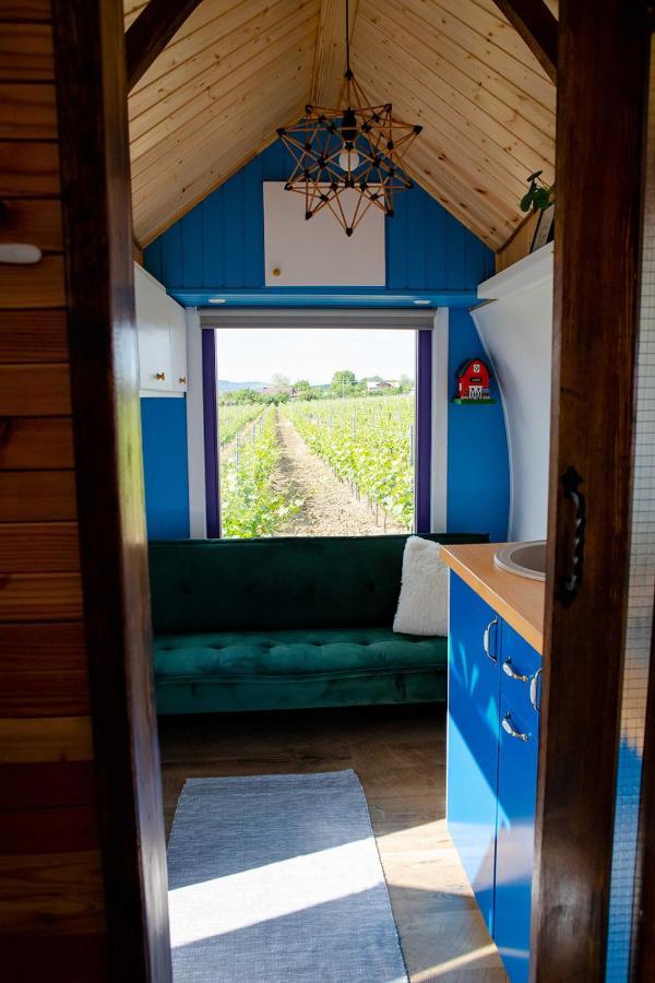 Hotel Tiny House In The Vineyard By Gramofon Wine à Iordachianu Extérieur photo