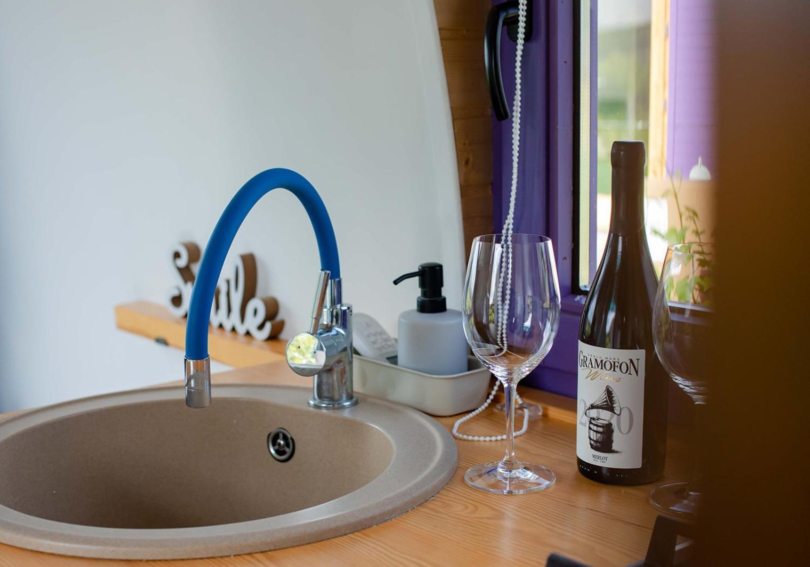Hotel Tiny House In The Vineyard By Gramofon Wine à Iordachianu Chambre photo