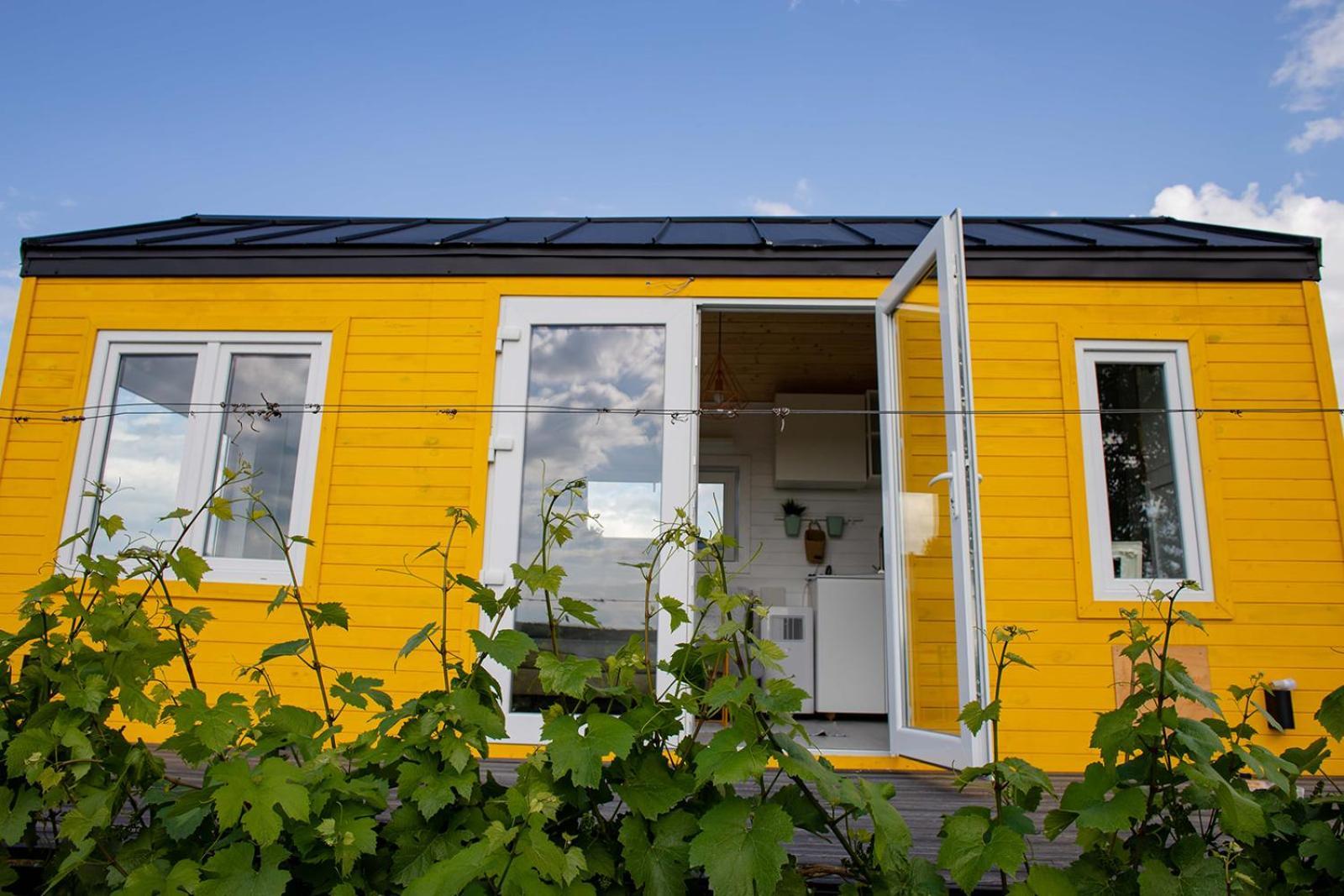 Hotel Tiny House In The Vineyard By Gramofon Wine à Iordachianu Chambre photo