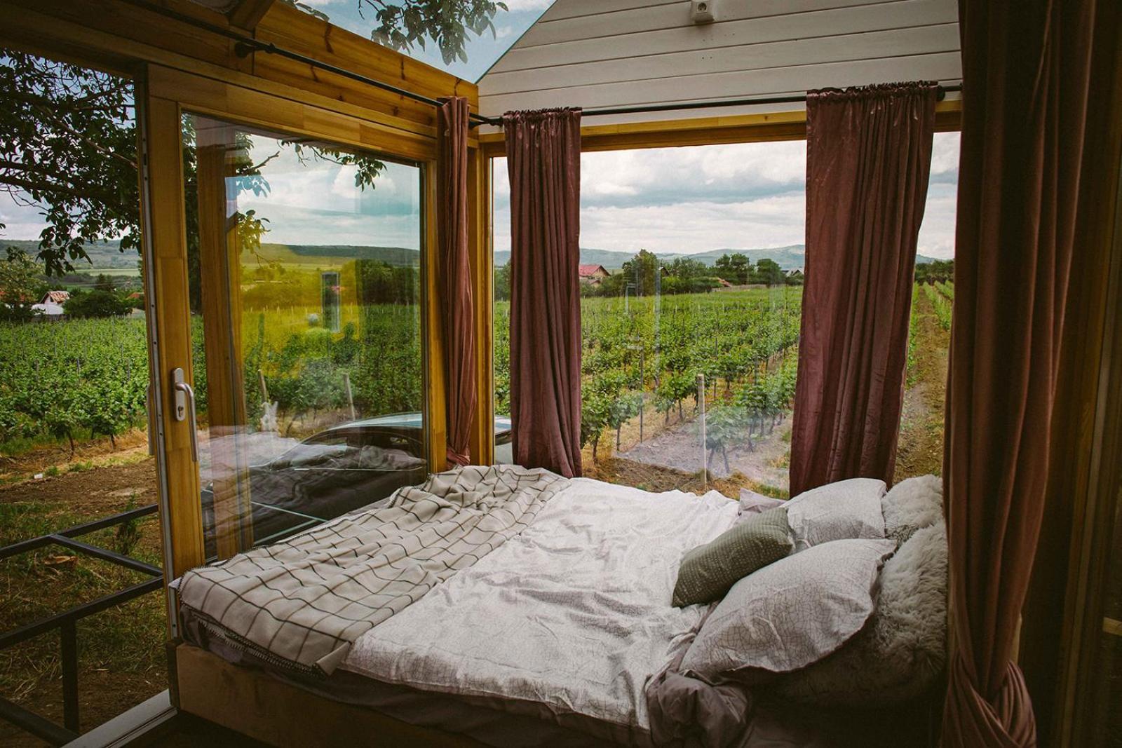 Hotel Tiny House In The Vineyard By Gramofon Wine à Iordachianu Chambre photo